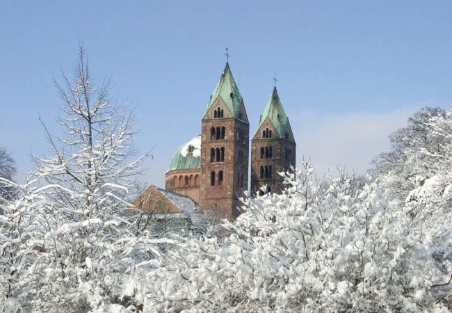 Auf 'nen Glühwein an die Deutsche Weinstraße